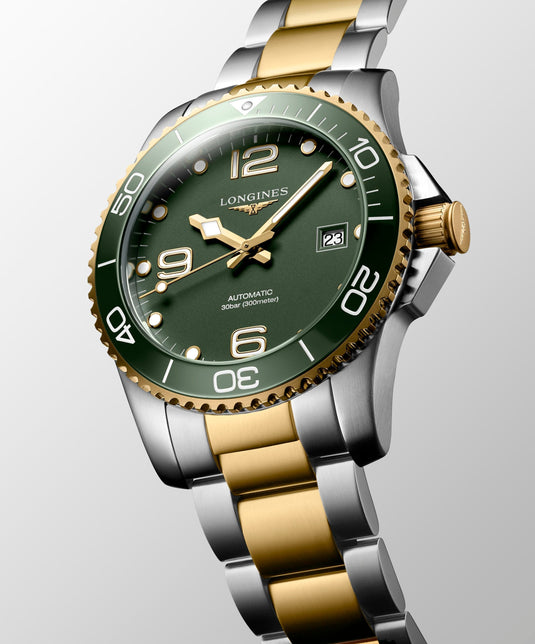 HYDROCONQUEST L3.781.3.06.7