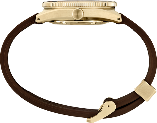 Prospex 1965 Diver's Modern Re-nterpretation Limited Edition SLA066