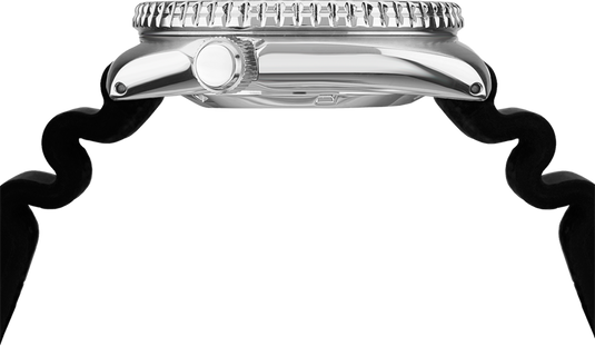 Prospex Automatic Diver SRPE93