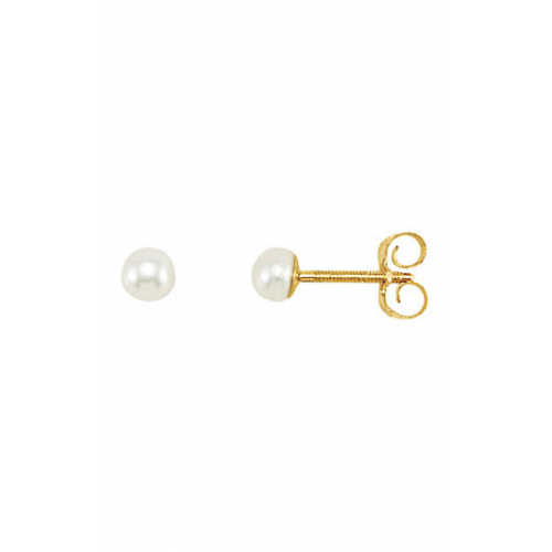 Stuller Earrings 19261
