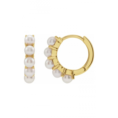 Stuller Earrings 688758